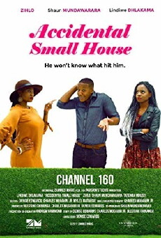 Accidental Small House (2018) - Stream Online