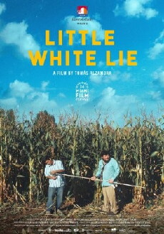 Little White Lie (2017) - Stream Online
