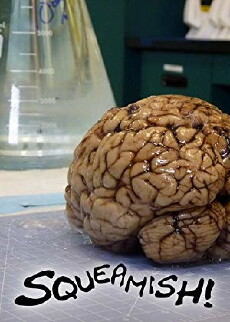 Squeamish! (2011) - Stream Online