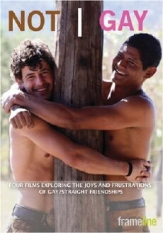 Not Gay (2008) - Stream Online