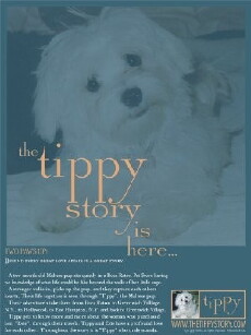The Tippy Story (2006) - Stream Online