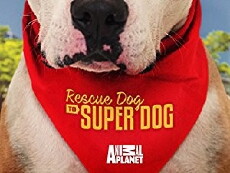 Rescue Dog to Super Dog (2016) - Stream Online