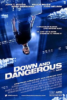 Down and Dangerous (2013) - Stream Online