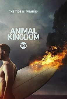 Animal Kingdom (2016) - Stream Online