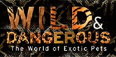 Wild & Dangerous (2015) - Stream Online
