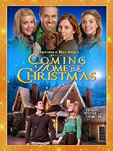 Coming Home for Christmas (2013) - Stream Online