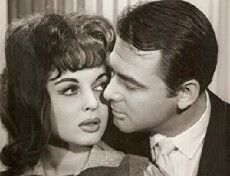 The Wild Cat (1962) - Stream Online