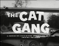 The Cat Gang (1959) - Stream Online
