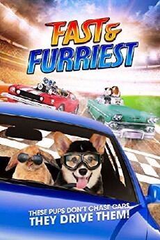 Fast and Furriest (2017) - Stream Online