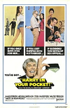 Harry in Your Pocket (1973) - Stream Online