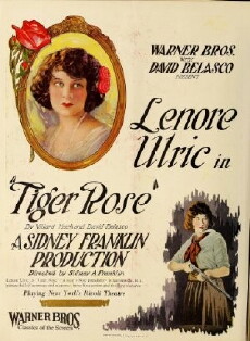 Tiger Rose (1923) - Stream Online