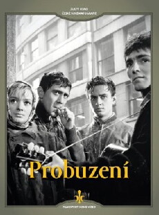 Awakening (1960) - Stream Online