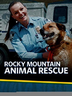 Rocky Mountain Animal Rescue (2018) - Stream Online