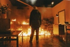 Die Nacht des Schmetterlings (1997) - Stream Online