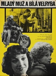 The Young Man and Moby Dick (1979) - Stream Online