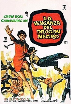 Dragon Blows (1973) - Stream Online