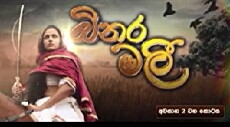 Binaramalee (2016) - Stream Online