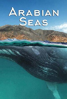 Arabian Seas (2017) - Stream Online