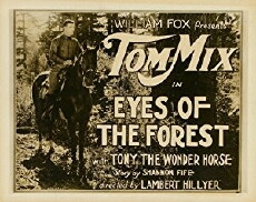 Eyes of the Forest (1923) - Stream Online