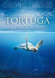 Tortuga (1999) - Stream Online