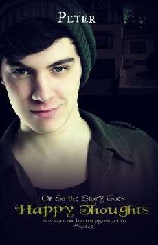 Or So the Story Goes (2013) - Stream Online