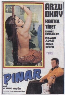 Bir Pinar Ki (1972) - Stream Online
