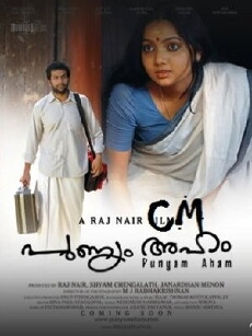 Punyam Aham (2010) - Stream Online