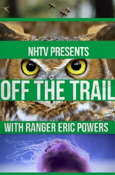 Off the Trail (2015) - Stream Online