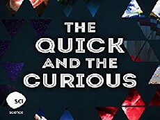 The Quick and the Curious (2016) - Stream Online