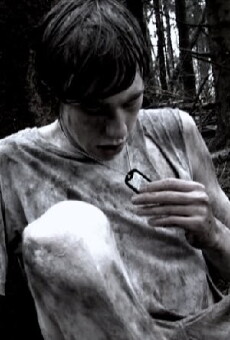 Memoriam (2013) - Stream Online