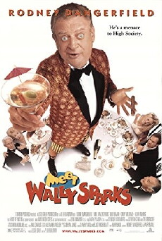 Wally Sparks - König des schlechten Geschmacks (1997) - Stream Online