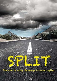 Split (2013) - Stream Online