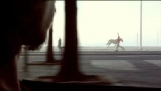 Finding a Horseshoe on the Beaches of Rio (2011) - Stream Online