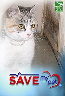 Save My Pet (2011) - Stream Online