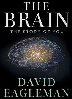 The Brain with Dr. David Eagleman (2015) - Stream Online