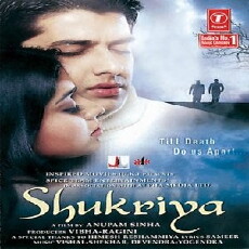 Eine schicksalhafte Begegnung (2004) - Stream Online
