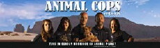 Animal Cops: Phoenix (2007) - Stream Online