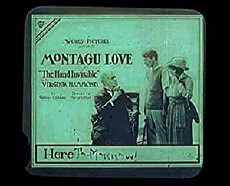 The Hand Invisible (1919) - Stream Online
