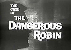 The Case of the Dangerous Robin (1960) - Stream Online