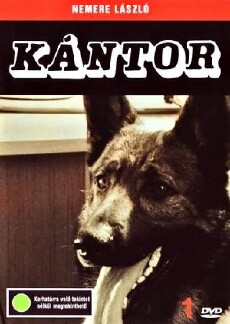 Kantor fahndet (1976) - Stream Online