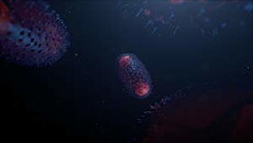 Invisible Killers (2018) - Stream Online