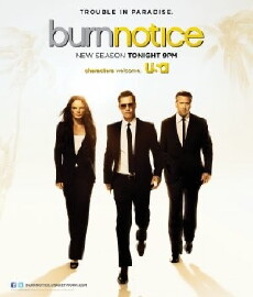 Burn Notice (2007) - Stream Online