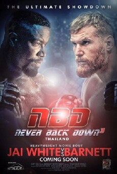 Never Back Down: No Surrender (2016) - Stream Online