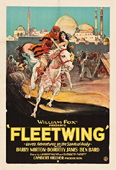 Fleetwing (1928) - Stream Online