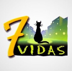 7 vidas (1999) - Stream Online