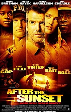 After the Sunset (2004) - Stream Online