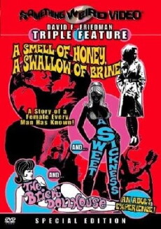 The Brick Dollhouse (1967) - Stream Online