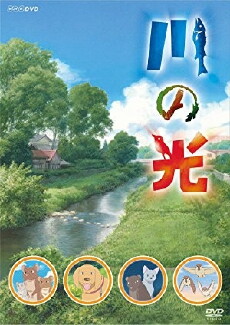 Light of the River (2009) - Stream Online