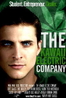 The Kawaii Electric Company (2015) - Stream Online