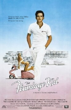 The Flamingo Kid (1984) - Stream Online
